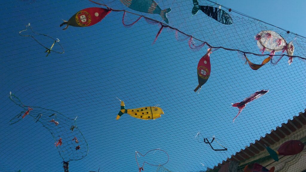 Ana Maria Freitas outdoors, reflecting the hands-on personal-growth journey behind Nemo goes 2.0